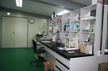 Laboratory Image 3